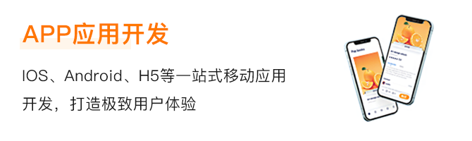 APP應(yīng)用開發(fā).png