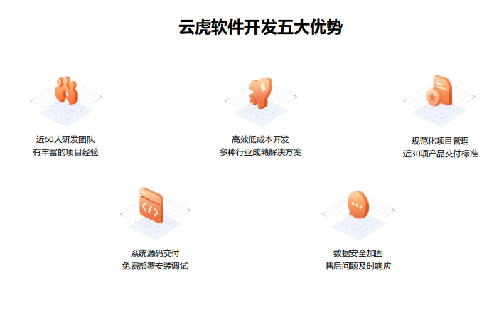 云虎軟件開發(fā)五大優(yōu)勢(shì).png